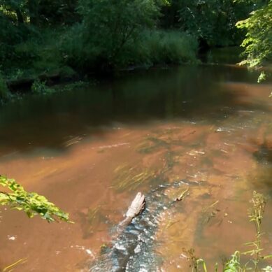 На территории Виштынецкого национального парка благоустроят четыре экотропы и создадут визит-центр