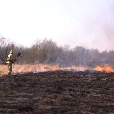 За прошедшие сутки в регионе 27 раз горели поля сухой травы, площадь таких возгораний — более 44х гектаров