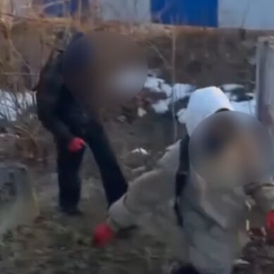 Сотрудниками калининградской транспортной полиции выявлены трое несовершеннолетних зацеперов