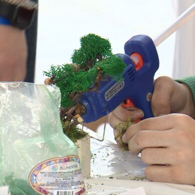 В Калининграде проходит чемпионат профессионального мастерства среди инвалидов «Абилимпикс»