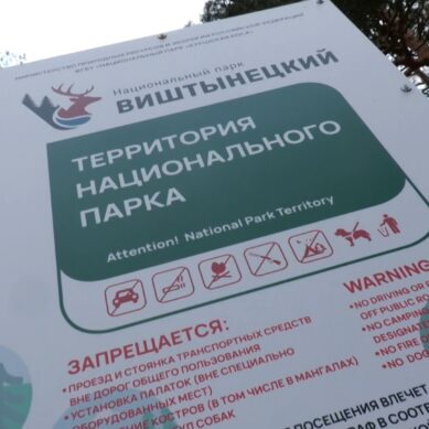 С 1 апреля посещение Красного леса становится платным