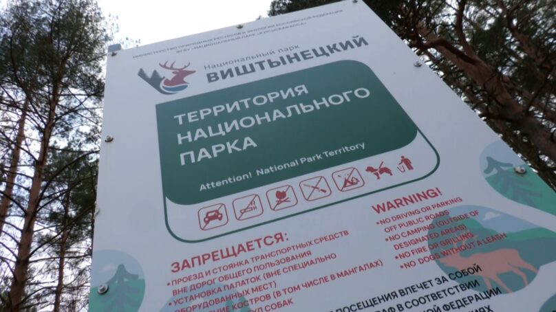 С 1 апреля посещение Красного леса становится платным