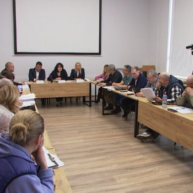 Садоводы Зеленоградского района обеспокоены тем, что их земли хотят перевести из садоводства в огородничество