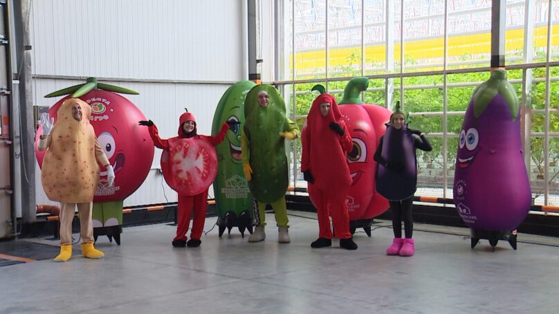 Современный тепличный комплекс площадью 5 гектаров открыли в Гвардейском округе