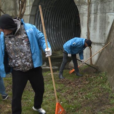 Сегодня сотни жителей области вышли на уборку в парки, во дворы