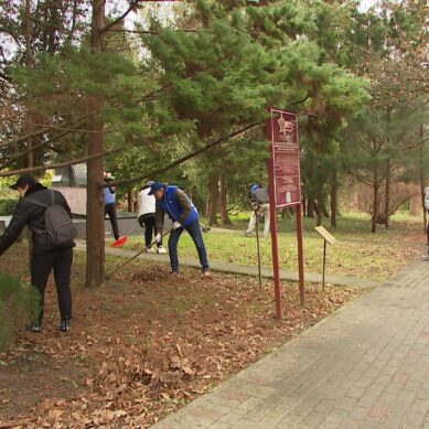 На ежегодном городском субботнике в Ботаническом саду к бригадам присоединились депутаты и сотрудники Законодательного Собрания Калининградской области