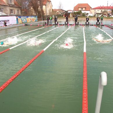 29 золотых наград выиграли калининградцы на домашнем чемпионате России по плаванию в холодной воде