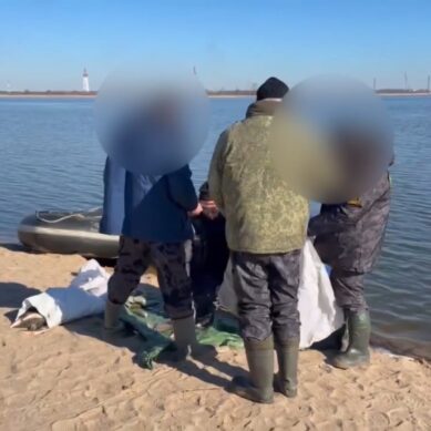 Жителя региона, который вёл промысел без учёта разрешённых методов рыболовства, задержали