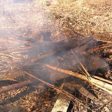 В области вводят ограничение на посещение лесов, в зелёных массивах запрещается разводить костры