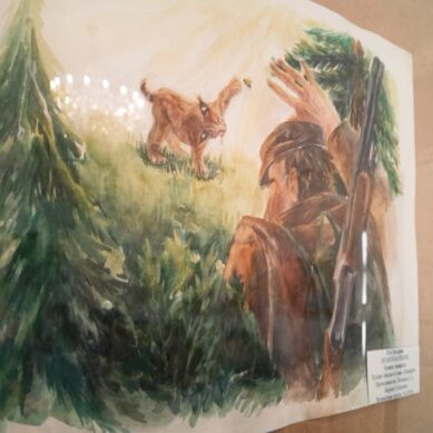 В Калининградской области подвели итоги Всероссийского конкурса иллюстраций