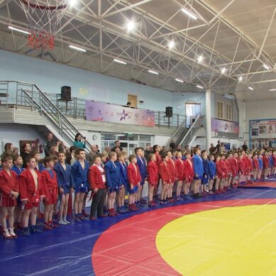 В Калининграде появился новый турнир по самбо для самых юных спортсменов 11-12 лет