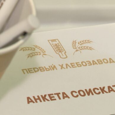 Ярмарка трудоустройства прошла в регионе