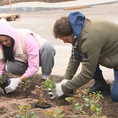 В Гурьевске причесали и очистили от мусора 12 общественных территорий