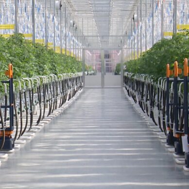 Центр поддержки предпринимательства начал приём заявок от бизнесменов для участия в новых инвестиционных программах