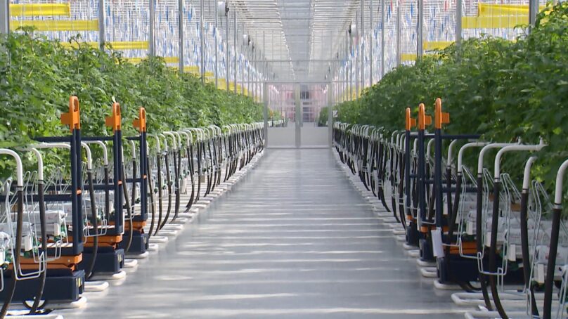 Центр поддержки предпринимательства начал приём заявок от бизнесменов для участия в новых инвестиционных программах