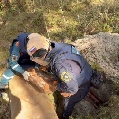 Сразу несколько взрывоопасных предметов были уничтожены на Балтийской косе пиротехниками поисково-спасательного отряда МЧС