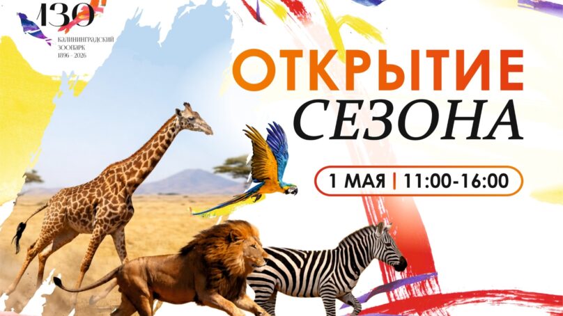 Калининградский зоопарк отметит 130-летие грандиозным открытием юбилейного сезона