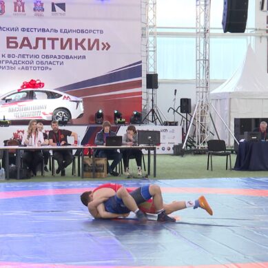 В Калининграде стартовал Всероссийский фестиваль единоборств «Кубок Балтики» на призы компании «Автотор»