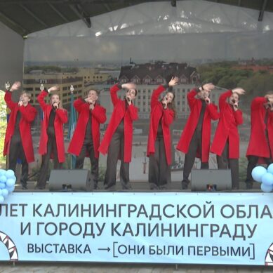 В музее Фридландские ворота открылась выставка «Они были первыми»
