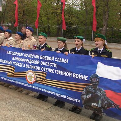 В Калининграде, Черняховске, Гусеве и Советске стартовал масштабный автопробег