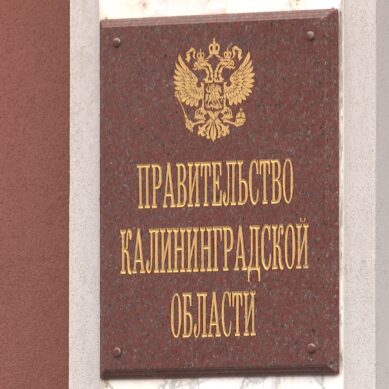 На заседании правительства области обсудят реализацию национального проекта «Семья»