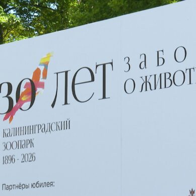 130 лет исполнилось со дня открытия Калининградского зоопарка