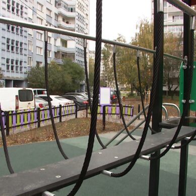 Благоустройство Каштанового парка в Калининграде планируют продолжить в июле