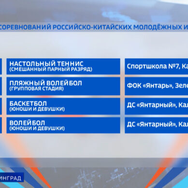 Завтра в рамках Х Российско-Китайских игр продолжатся соревнования по бадминтону в ФОКе в Светлом