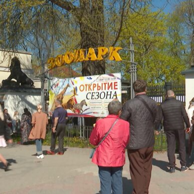 Калининградский зоопарк отмечает 130-летие со дня своего основания