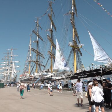 В Калининградском морском рыбном порту прошел фестиваль «Открытое море»