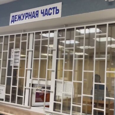 В Калининграде сотрудники полиции выявили факты мошенничеств при получении грантов на открытие бизнеса