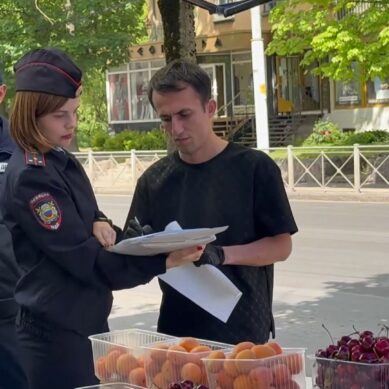 Нелегальная клубника. В Калининграде сотрудники регионального управления МВД провели рейд по местам торговли сезонными ягодами, овощами и фруктами