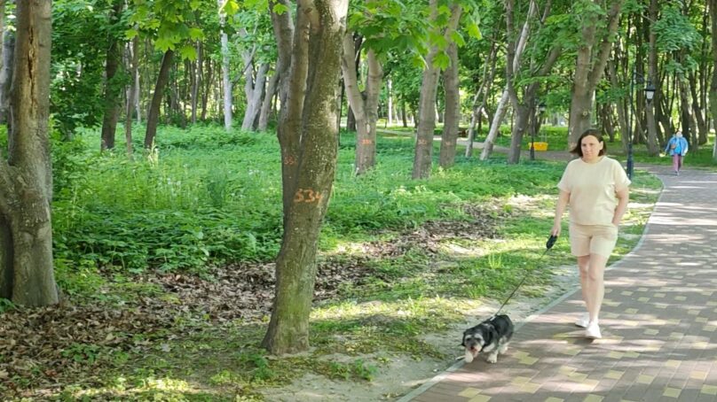 Вопросы сохранения памятника природы «Парк Янтарный» жители прибрежного поселка обсудили на встрече с представителями Минприроды области, организованной при участии отделения «Народного фронта»