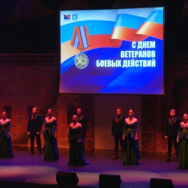 Концерт, посвященный дню ветеранов боевых действий, прошел в Театре Эстрады