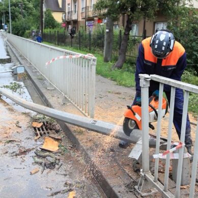 Последствия циклона «Бернадетт» оценили на оперативном заседании правительства региона