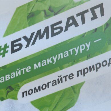 В Калининградской области стартовал новый сезон сбора макулатуры в рамках всероссийской акции «БумБатл»