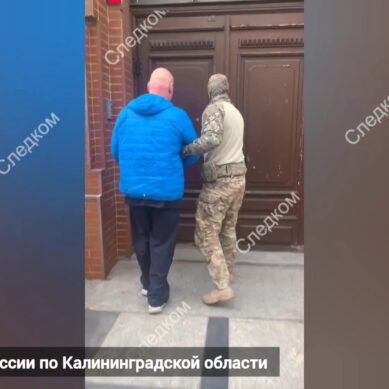 В Калининграде вынесли приговоры пятерым участникам преступной группы, которые помогали незаконным мигрантам