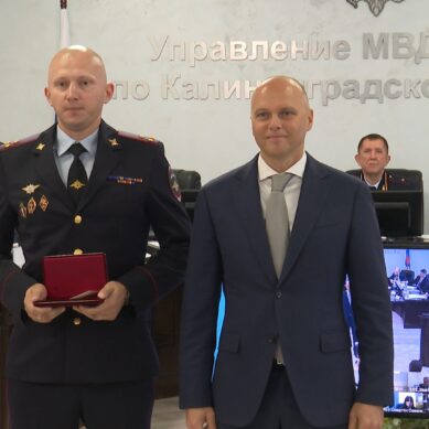 Ниже среднего по округу. Полиция отчиталась о преступности в регионе