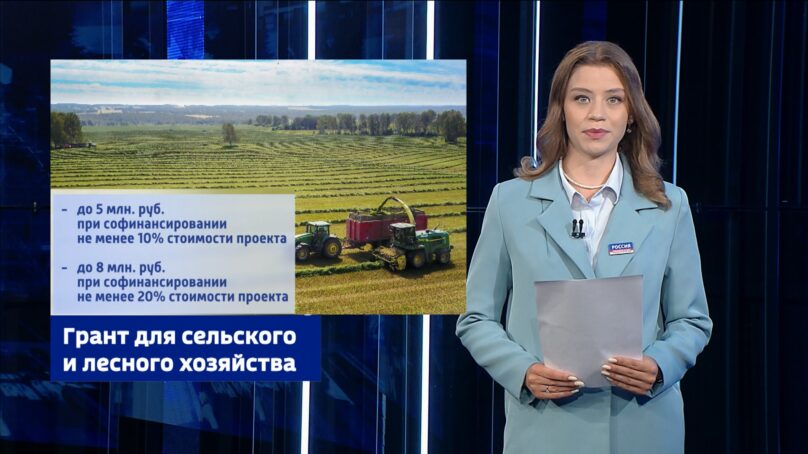 Оказывают услуги, продают товары собственного производства и сдают квартиры в аренду