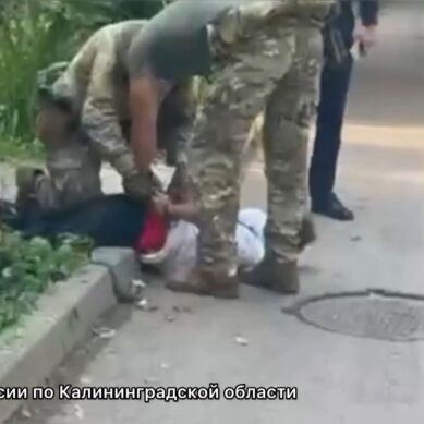 Управление ФСБ по Калининградской области возбудило уголовное дело в отношении двадцатилетнего юноши
