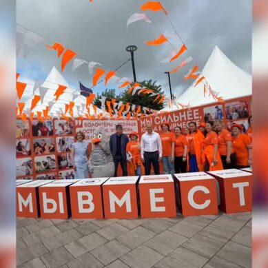 Фестиваль добровольчества #МЫВМЕСТЕ объединил несколько тысяч волонтеров региона