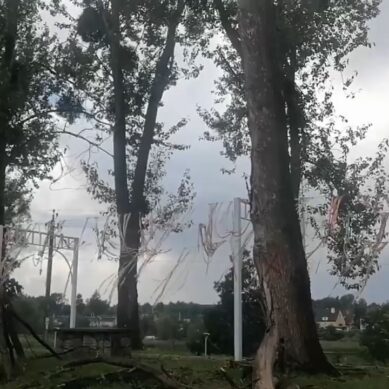 В Багратионовске возбудили уголовное дело по факту гибели рабочего