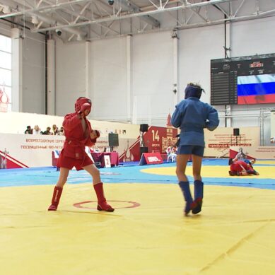 В Калининграде прошли Всероссийские соревнования по спортивному и боевому самбо