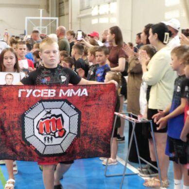 Кубок Калининградской области по смешанному боевому единоборству ММА, посвящённый памяти кавалера Ордена Мужества Ивана Матыгина, состоялся в Гусеве