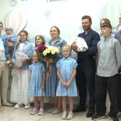 Ещё одна мама в Калининградской области может претендовать на звание «Мать-героиня»