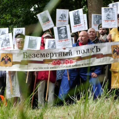 В Озёрском округе прошёл сбор «Бессмертного полка Российской Императорской армии и флота»