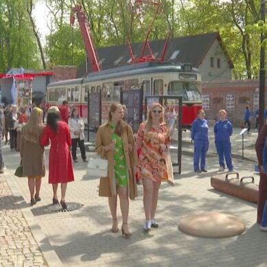 В Калининграде появится музейный сквер с мультимедийными экспонатами