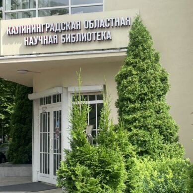 День языков народов России впервые отмечают в нашей стране сегодня