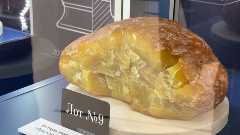 Янтарный комбинат представил редкие самоцветы на Восточном экономическом форуме
