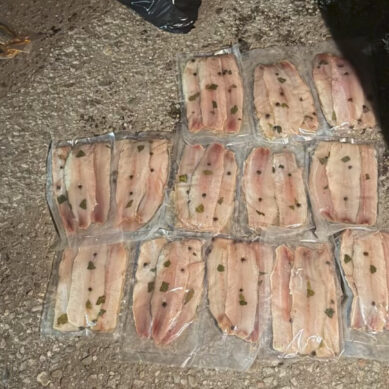 Сотрудниками калининградской транспортной полиции раскрыта кража с судна на сумму более 32 тысяч рублей